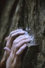 Close-up of chalked hands of climber hanging to ledge — Stock Photo