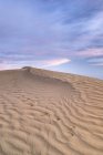 Kojotenspuren auf Sand in großen Sandhügeln, Saskatchewan, Kanada — Stockfoto