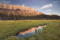 Mont Wintour et étangs herbeux Pochahantas, Kananaskis Country, Alberta, Canada — Photo de stock