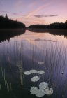 Two Mile Lake at Duck Mountain Provincial Park, Manitoba, Canadá - foto de stock