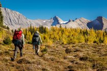 Two back packers hike near Baker Lake in the Skoki wilderness area of Banff National Park, Alberta Canada. Model Released — Stock Photo