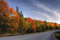 Highway along Algonquin Park in fall, Ontário, Canadá — Fotografia de Stock