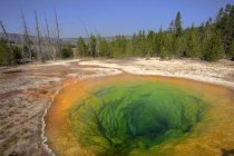 Modello naturale di Morning Glory Pool, Upper Geyser Basin, Yellowstone National Park, Wyoming, Stati Uniti d'America — Foto stock
