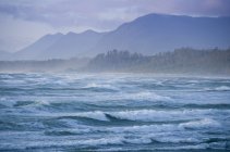 Wellen am Strand von Wickaninnish im Nationalpark am Pazifik in der Nähe von Tofino, Kanada — Stockfoto