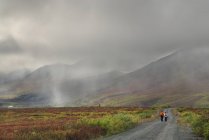 Hikers on foggy stretch of road, Tombstone Territorial Park, Yukon Territory, Canada — Stock Photo