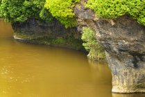 Formazione rocciosa sedimentaria a Elora Gorge, Elora, Ontario, Canada — Foto stock