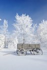 Old wagon in forest and hoarfrost on trees near Cooks Creek, Manitoba, Canada — Stock Photo