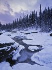 Mistaya Canyon y el río congelado en invierno, Parque Nacional Banff, Alberta, Canadá . - foto de stock