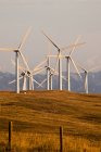 Ветроэнергетические турбины недалеко от Пинчер-Крик, Альберта, Канада . — стоковое фото