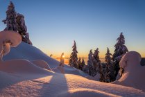 Взимку захід сонця в Маунт Сеймур Провінційний парк, Британська Колумбія, Канада — стокове фото