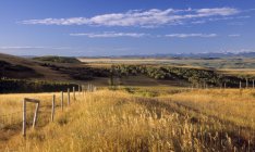 Rural landscape near Cochrane, Alberta, Canada — Stock Photo