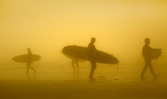 Silhuetas de surfistas no nevoeiro, Long Beach, Pacific Rim National Park, Vancouver Island, British Columbia, Canadá — Fotografia de Stock