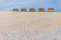 Fila de celeiros no inverno, Condado de Kneehill, Alberta, Canadá — Fotografia de Stock
