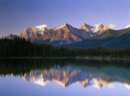 Herbert Lake refletindo montanhas cobertas de neve ao nascer do sol, Banff National Park, Alberta, Canadá . — Fotografia de Stock
