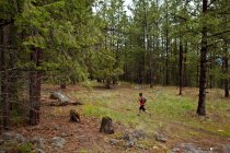 Woman trail running in forest of Penticton, British Columbia, Canada — Stock Photo