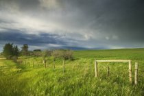 Gewitterwolken über grünen Weiden in der Nähe von Cochrane, Alberta, Kanada — Stockfoto