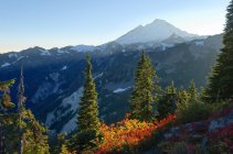 Follaje otoñal y montañas del Bosque Nacional Mount Baker-Snoqualmie, Washington, Estados Unidos de América - foto de stock