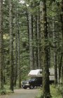 Cowichan river resort mit truck und camper, vancouver island, britisch columbia, kanada. — Stockfoto