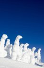 Des fantômes de neige contre le ciel bleu au mont Washington, Colombie-Britannique, Canada — Photo de stock