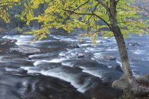 Herbstliche Szenerie am Oxtonge River, Muskoka, Ontario, Canada — Stockfoto