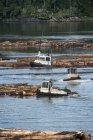 Barcas de explotación forestal en la aldea costera de Beaver Cove, Kokish River, Columbia Británica, Canadá - foto de stock