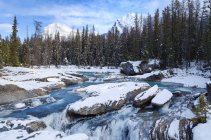 Paysage hivernal du pont naturel au-dessus de la rivière Kicking Horse, parc national Yoho, Colombie-Britannique, Canada — Photo de stock
