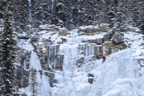 Grimpeur de glace méconnaissable sur les chutes Tangle gelées, parc national Jasper, Alberta, Canada — Photo de stock