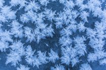 Ice crystals pattern on ice of lake in winter — Stock Photo