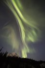 Vista ad angolo basso dell'aurora boreale nel cielo notturno fuori Whitehorse, Yukon, Canada . — Foto stock