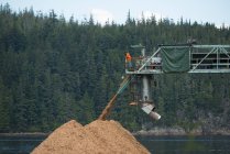 Construcción de carga de chips en Beaver Cove, Columbia Británica, Canadá - foto de stock