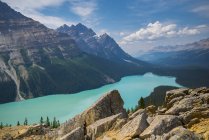 Aerial view of coniferous forest and mountains by Peyto Lake, Banff National Park, Alberta, Canada — Stock Photo