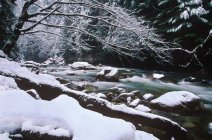 Tamahi Creek flowing from Cascade range in winter, British Columbia, Canada . — стоковое фото