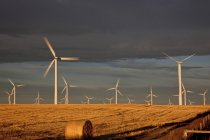 Moinhos de vento geradores de energia em campo perto de Fort MacLeod, Alberta, Canadá . — Fotografia de Stock