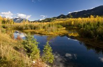 Vista panorâmica da lagoa e da floresta em Elk Valley no outono, Fernie, Canadá
. — Fotografia de Stock