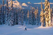 Sunrise: The Callaghan Country ski lodge is located 10 minutes south of Whistler, BC Canada, up the Callaghan Valley and next to the Whistler Olympic Park. — Stock Photo