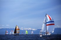 Swiftsure sailboat race at spinnaker start, Victoria, Vancouver Island, British Columbia, Canada. — Stock Photo