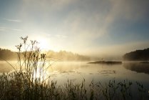 Утренний вид на живописную природу озера Покер, Халлибертон, Онтарио, Канада — стоковое фото
