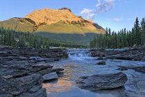 Athabasca fluss in der nähe athabasca wasserfälle, jaspis nationalpark, alberta, canada — Stockfoto