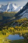Перевал Джамбо и альпийские лиственницы в осенней листве, горы Пёрселл, Британская Колумбия, Канада — стоковое фото