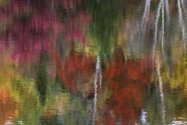 Abstract reflection of autumn foliage near Labelle, Quebec. — Stock Photo