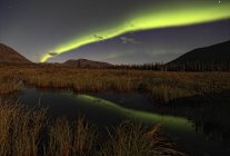 Aurora borealis in sky over marsh in Yukon, Canada. — Stock Photo