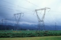 Hydroelectric towers in farmland, Fraser Valley, British Columbia, Canada. — Stock Photo