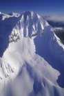 Vista aérea del Parque Provincial Monte Garibaldi, Columbia Británica, Canadá
. - foto de stock