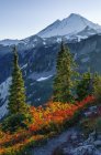 Colorful autumnal foliage of Mount Baker-Snoqualmie National Forest, Washington, United States of America — Stock Photo