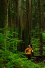 Wanderweg auf dem Mount Seymour. North Vancouver, British Columbia. Kanada — Stockfoto