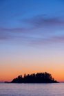 Île aux silhouettes d'arbres en Tofino, Colombie-Britannique, Canada — Photo de stock
