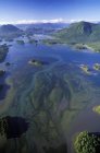 Вид с воздуха на биосферный заповедник Clayoquot Sound Biosphere Reserve, Британская Колумбия, Канада . — стоковое фото