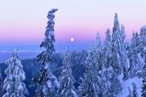 Moonset ao nascer do sol do Parque Provincial Mount Seymour, Colúmbia Britânica, Canadá — Fotografia de Stock