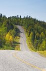 Estrada pavimentada que atravessa a floresta, Lake of Woods, Ontário, Canadá — Fotografia de Stock