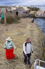 Résidents locaux recherchant des roseaux sur l'île flottante de roseaux d'Uros, lac Titicaca, Pérou — Photo de stock